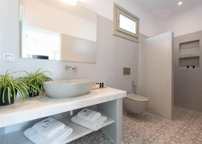 Sersi Paros Villas&suites